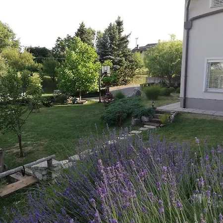 Maple Place