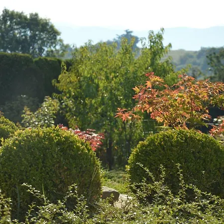 Appartement Maple Place *